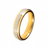 Купить Кольцо из титана Lonti TI-040R (TI-041R) с золотистым покрытием